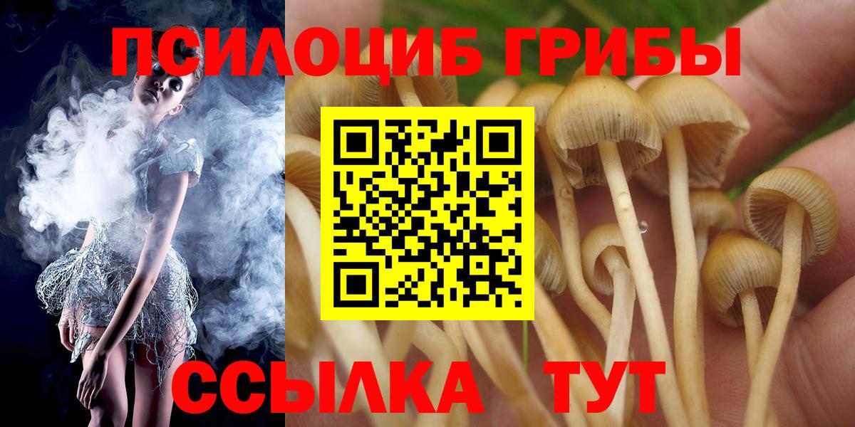 Галлюциногенные грибы прущие грибы Белово