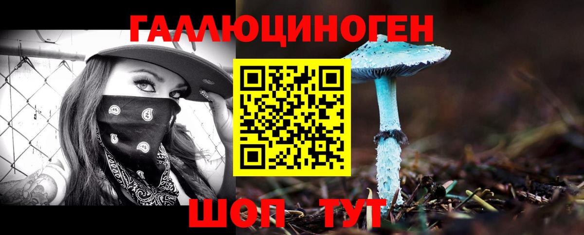 Белово  Псилоцибиновые грибы Psilocybine cubensis  Вход с VPN  Псилоцибиновые грибы Cubensis 